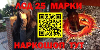 шишки Донской