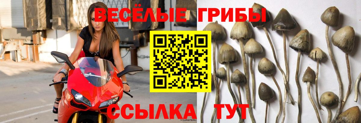 Галлюциногенные грибы ЛСД Киров